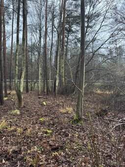 Prodám pozemky v k.ú. Břehy (2) - 6