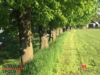 Prodej, pozemky/bydlení, 4121 m2, Nové Dvory, Žďár nad Sázav - 6