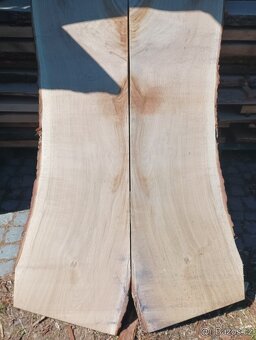 Dubové fošny do páru - 6