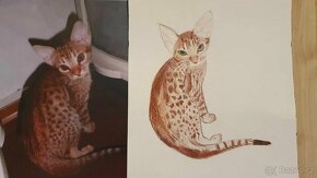 Malba tričko, košile, aj., originál viz. Fota - 6