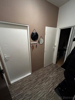 Pronajmu 1+Kk 39m2 - 6