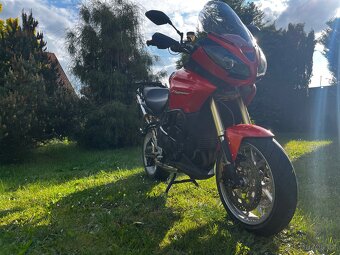 Triumph Tiger 1050 - 6