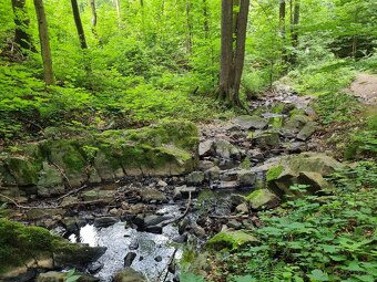 Prodej chaty v CHKO Železné hory - 6