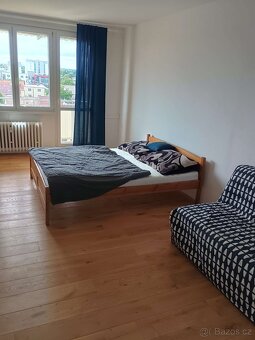 2+1 České Budějovice Branišovská - u Jihočeské univerzity - 6