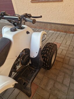 Dětská dvoutaktní čtyřkolka Access DRR - 6