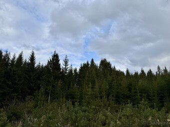 Prodej, pozemek, 3 724 m, , Smilovy Hory, Česko - 6