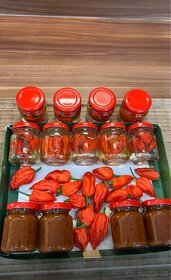 Sazenice TRINIDAD MORUGA SCORPION a CAROLINA REAPER - 6