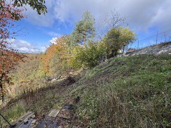 Prodej, pozemek k rekreaci, 361 m2, Kosov - 6