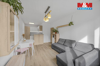 Prodej bytu 2+kk, 40 m², Praha 4 - Pankrác, ul. Plamínkové - 6