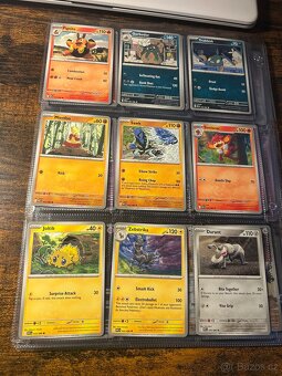 Pokémon karty - 6