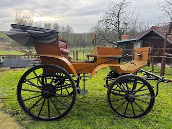 Kočár za koně - 6