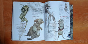 Brian Froud - velké knihy ilustrací víl a skřítků + karty - 6