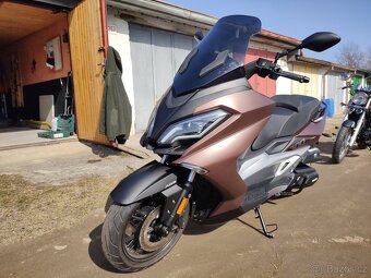 MAXON DISCOVER 300 - 6