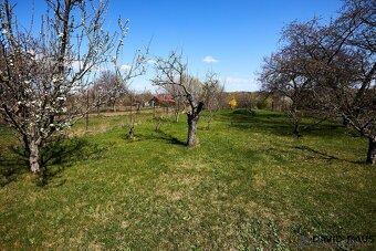 Prodej zahrady (752 m2 ), Rajhrad, ev.č. 00298 - 6