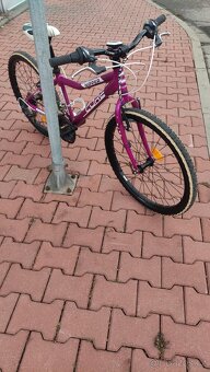 Juniorské dívčí kolo CUBE - 6