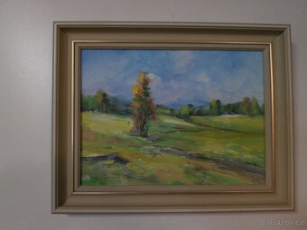 Obraz horského jezera + další obrazy - 6