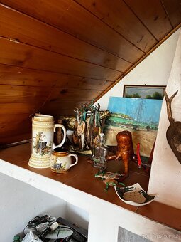 Trofeje -myslivost - 6