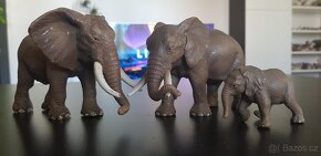 Schleich Safari slon africký slon indický slůňe - 6