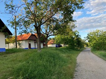 Krásná slunná Zahrada 600m2 -Vlčnov - Jizda kralů - 6