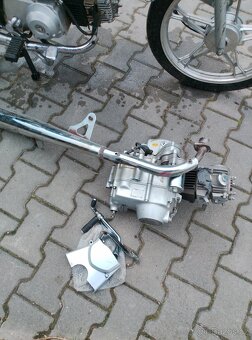 Jawa betka(Champ) - 6