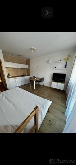 Pronájem apartmánu 1+KK s lodžií v Bavorské Rudě - 6