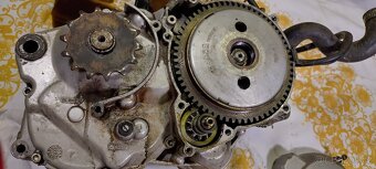 Motor Rotax 123 Aprilia AF1 Pegaso Red Rose - 6