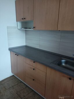 Pronájem bytu 1+kk 117m2 - Veselice - Vavřinec v okrese Blan - 6