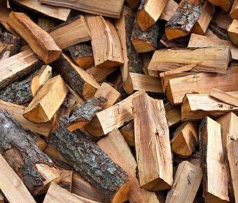 Palivové dřevo dříví - 6