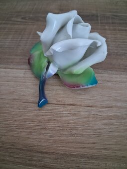 Porcelánová růže - 6