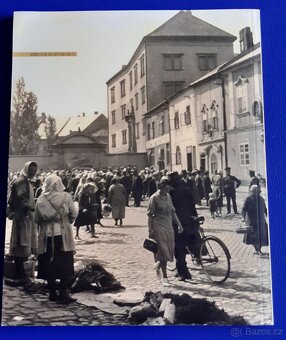 Přerovský zámek, 100letá Republika, Okres Přerov - 6