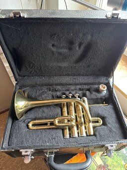 Prodám Trumpetu Stagg - 6