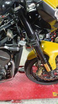 Benelli Trek 1130 Amazonas - 6