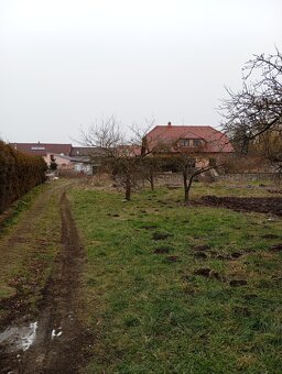Dolany - 6