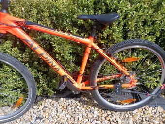 Juniorské kolo kolo Alpina ECO M10 velikost 26" - 6