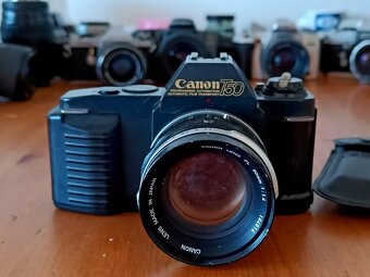 CANON T50 (Canon Lens FL 1,4/50mm Lens Japan) - 1983 - 6