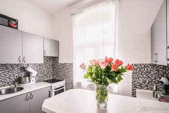 Prodej bytu 1+1 28 m² Dlouhá, Karlovy Vary - Stará Role - 6