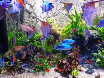 Akvárium sklo optiwhite - 6