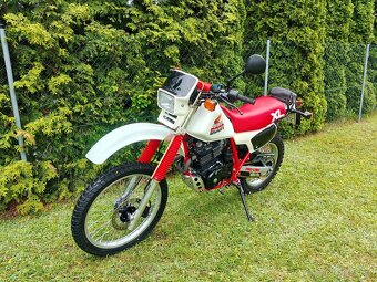 Honda XL 600 R PD03E - 6