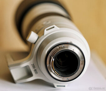 CANON RF 200-800 mm f/6,3-9 IS USM, ultimátní wildlife zoom - 6