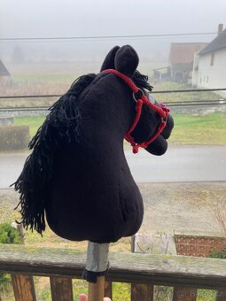 Hobby horse - 6