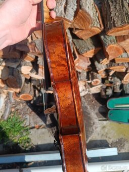 Housle Prokop očkový javor - 6