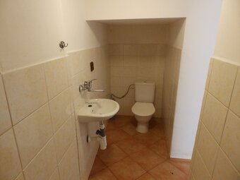 Pronájem, byt 1+1, 38 m2, Zbraslavice - 6