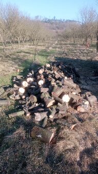Dřevo na uzení - švestka - 6