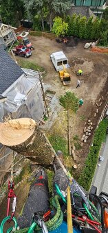 Stromolezec, arborista, udrzby zelene - 6