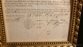 Starý cestovní pas z roku 1830 - 6