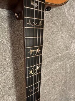 Taylor 910e / R.V 2014 / DREADNOUGHT / - 6