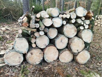Palivové dřevo - 6