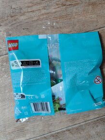 Nové LEGO Minecraft 30672 Steve a pandí mládě - 6
