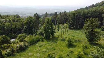 Prodej zahrady 3670m2 nedaleko Litoměřic - 6