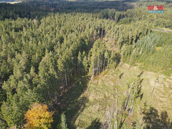 Prodej lesa, 2678 m², Chotěmice - 6